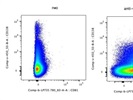 Good Anti-Mouse CD81 PE-Cy7 Antibody