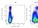 Okay Anti-Mouse CD130 PE