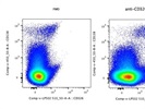 Good Option To Stain Mouse CD326