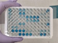Great PVRL2 ELISA Kit