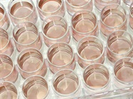 Laboratory Incubator Maintenance and Care