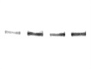 Efficient Parkin Antibody