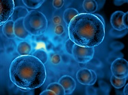 Cell Expansion: The Rate Limiting Step for Cell Therapies