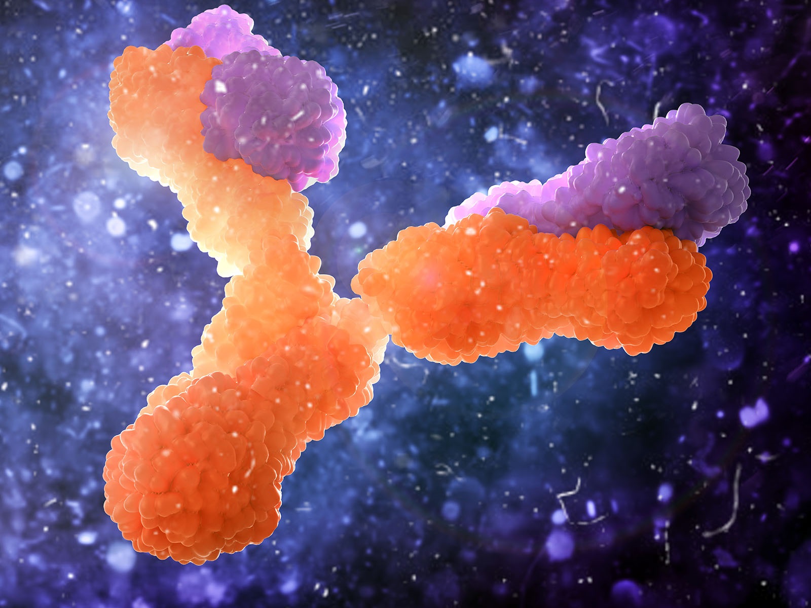  Enhance Your Complement System Studies