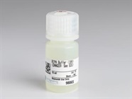Great Protein Extraction Buffer