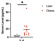Great Platform for High-Throughput and Convenient Serum Cytokine Profiling