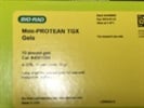 Good Protein Gels for Western Blot