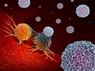 Infographic: Promising New Targets for Cancer Immunotherapy