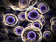 Flow Cytometry in Multi-Omics Analysis