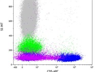 Bright CD5 Antibody for T Cells and CLL