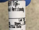 Good Secondary Antibody for Western Blot