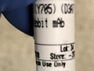 Good Phospho-Stat3 Antibody for Western Blot