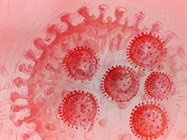Biosurveillance in Wastewater—Focus on the Detection of Pathogens such as SARS-CoV-2