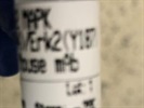 Excellent Antibody for Western Blot
