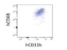 Antibody Stains hCD68 Very Well