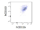 Antibody Stains hCD163 Very Well