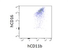 Good Staining with hCD16 Antibody