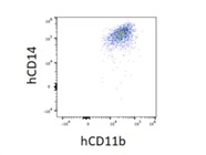 Antibody Brightly Stains hCD14