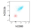 CD80 Antibody Works Very Well for Flow Cytometry