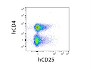 Bright Staining with CD4 Antibody