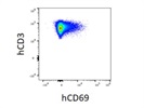 Great Staining with hCD69 Antibody