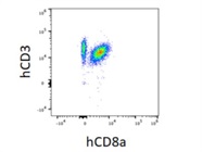 Excellent Staining with hCD3 Antibody
