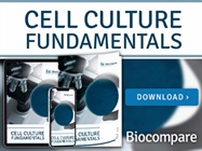 Cell Culture Fundamentals