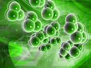 Streamlining the RNA Extraction and Purification Workflow