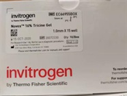 Great Gel for Separating Small MW Proteins
