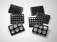 Culture thousands of spheroids. For up to 21+ days. In 1 plate.