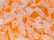 PCR-Based Diagnostics: Beyond and Because of COVID