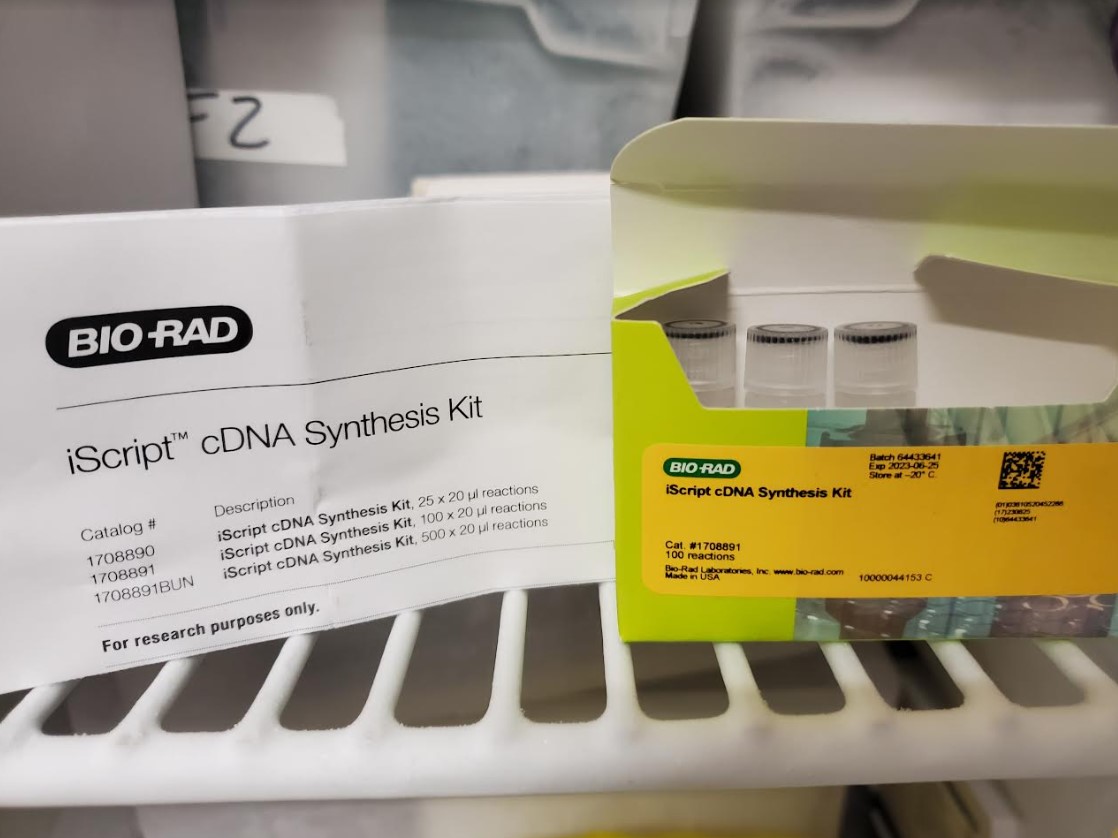 Great Kit for cDNA Synthesis Kit/Reagent Review