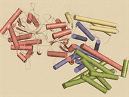 Determining Protein Structure with Cryo-EM
