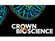 Explore the Power of High Content Imaging in 3D In Vitro Models