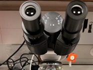 Simple Bench Top Light Microscope for Field Applications