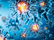 COVID-19 Therapeutics Update: Efficacy and Safety