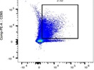 Great GL7 Antibody with Bright Staining