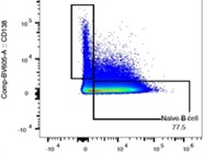 Excellent CD138 Antibody With Good Staining