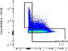 Great IgD Antibody with Strong Staining