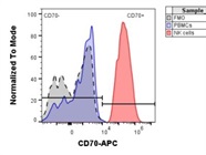 Great Human CD70 Antibody