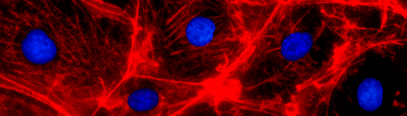  CRISPR in Drug Screening