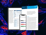 Phosphopeptide enrichment from a complex cell line digest
