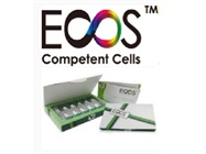 ECOS™ Competent Cells