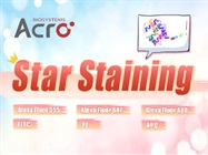 Star Staining Fluorescent-labeled Reagents for CAR Detection