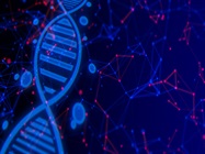 Precision CRISPR Editing of Induced Pluripotent Stem (iPS) Cells