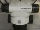 SZX7 is Suitable to Visualize Tissue Samples