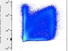 Good MHCII Antibody for Flow Cytometry