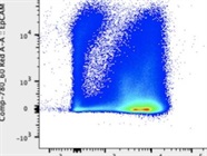 Great Ep-CAM Antibody with Strong Staining