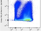 Great CD45 Antibody with Strong Staining