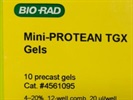 Excellent 12 Well Gel for Western Blot